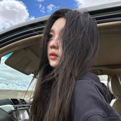 绽放的玫瑰