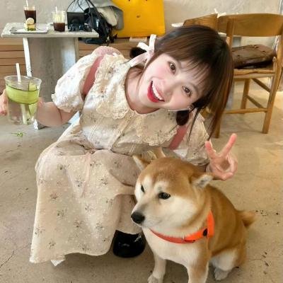 上流社会